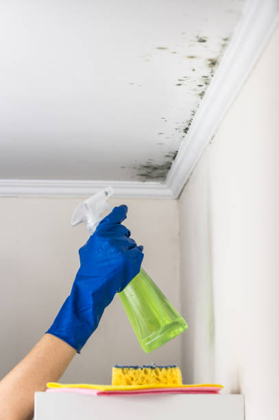 Water Damage Restoration in Laurel Hill, VA